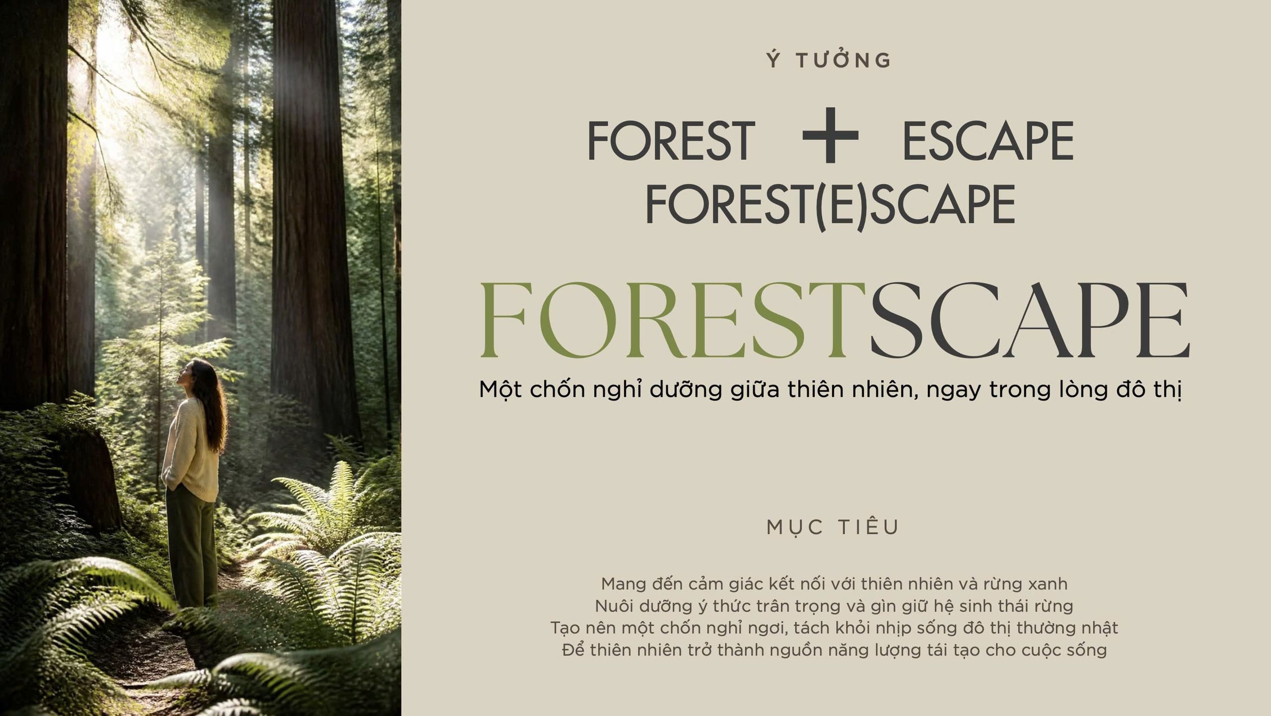 Ý tưởng cảnh quan Forestscape nghỉ dưỡng giữa thiên nhiên Norton Park